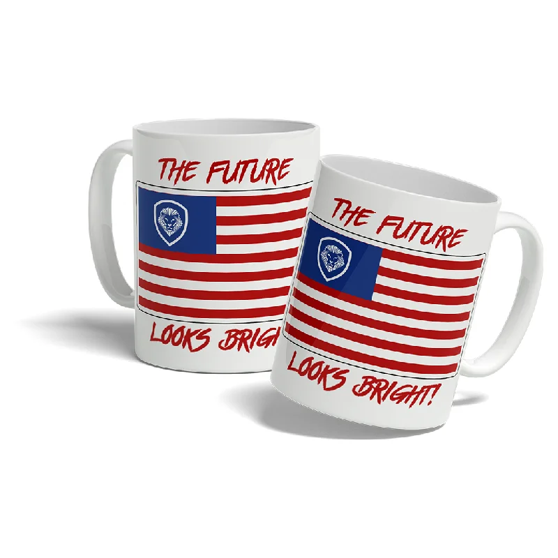 luxury crystal tumbler-Future Looks Bright VT Americana Flag Mug