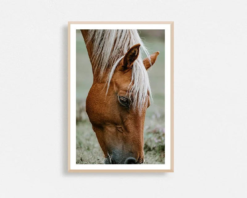 textured cotton table cloth-Brown Pony Grazing