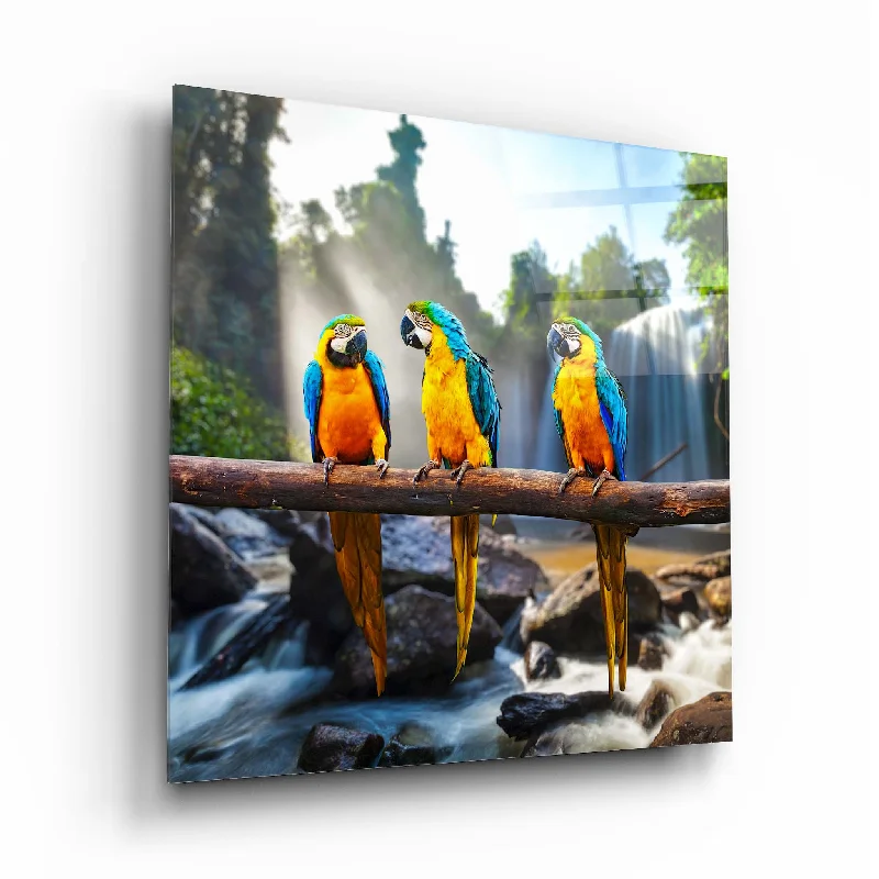 geometric metal coaster-Colorful Parrots Glass Wall Art