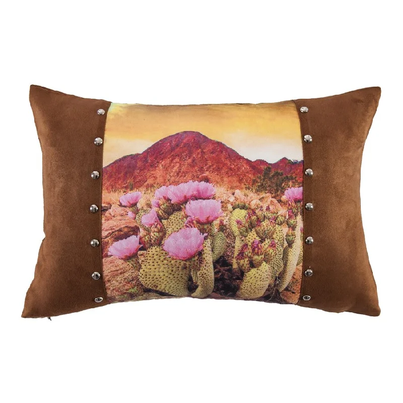 organic jersey throw-Painted Desert Accent Pillow